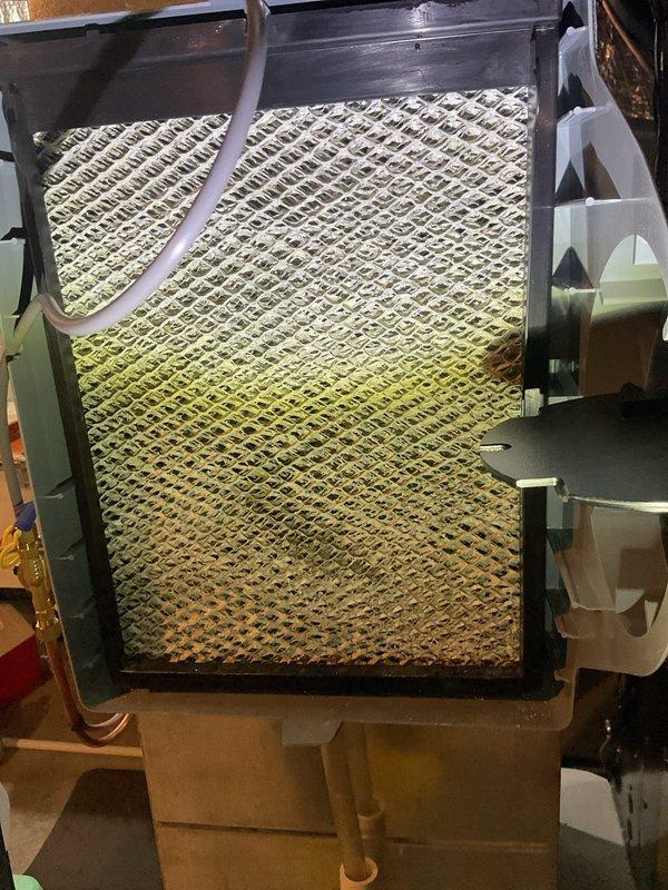 Performed scheduled heating maintenance service on furnace system. Inspected and documented condition of air filter showing moderate dust accumulation with yellow discoloration concentrated at lower portion. Examined evaporator coil housing and filter assembly, noting proper installation of diamond-pattern filtration media within metal frame housing.