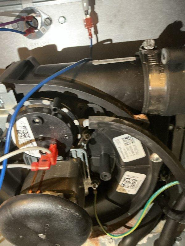 Responded to no-heat call for furnace less than 5 years old. Upon inspection of the blower motor assembly, identified faulty wiring connections and early signs of corrosion on the base mounting hardware. Repaired electrical connections, cleaned corrosion, and verified proper system operation with successful heating cycle completion.