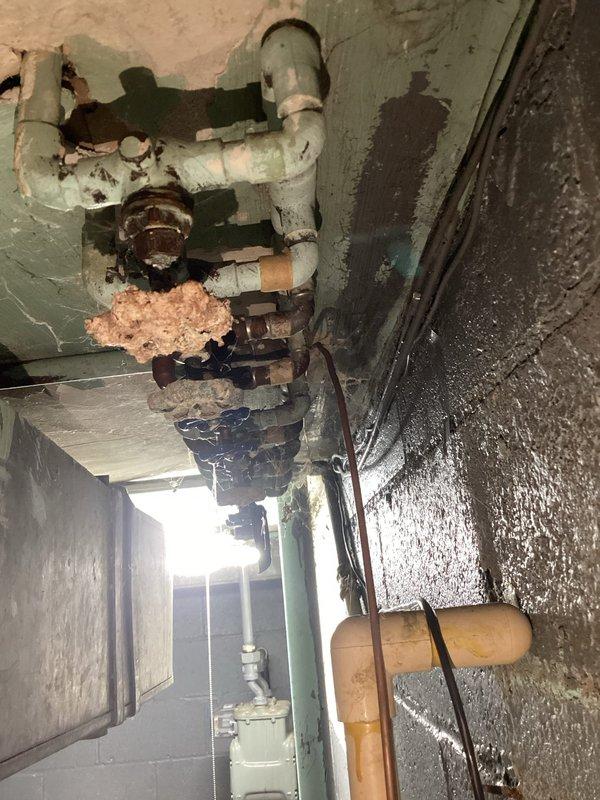 Conducted comprehensive inspection of aging plumbing system with significant corrosion observed on multiple valves and pipe connections. Documented extensive deterioration including peeling paint, exposed materials, and possible moisture damage to surrounding walls and ceiling. Photos taken of all affected areas to support quotation for recommended repairs and potential system replacement.