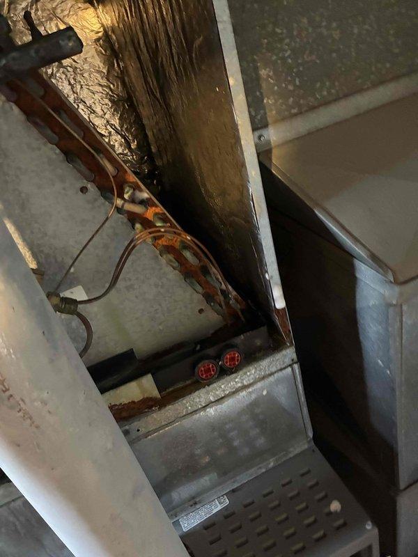 Performed thorough blower wheel cleaning and evaporator coil wash on aging HVAC system showing significant corrosion on copper components and visible oxidation throughout. Successfully cleaned blower assembly and motor housing, addressing accumulated debris that was impacting system performance and efficiency.