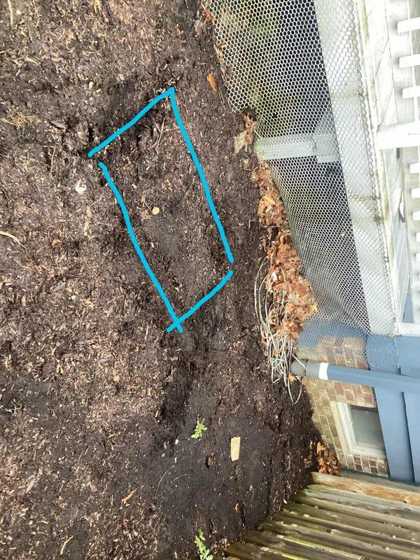 Conducted site assessment for potential generator installation, photographed the proposed location, and marked out installation area with blue paint. Evaluated proximity to building foundation, existing utility connections, and identified suitable placement adjacent to the structure's exterior wall where proper ventilation and code requirements can be met.