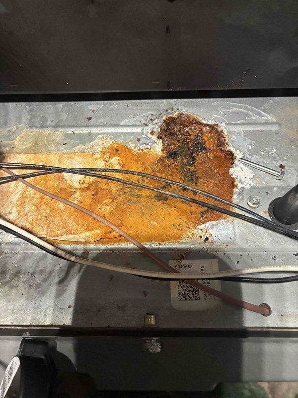 Completed second call to replace inducer motor, pressure switch, collector box and install surge protector. Noted significant corrosion on internal components and accumulated debris on blower wheel, which was thoroughly cleaned. All components now functioning properly with improved system efficiency.