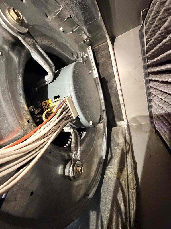 Performed routine heating system maintenance and inspected customer's expansion tank. Examined motor assembly and electrical connections, noting normal dust accumulation. Inspected pressure switch, associated wiring, and blower assembly components. All components functioning properly with no issues identified in the expansion tank at this time.