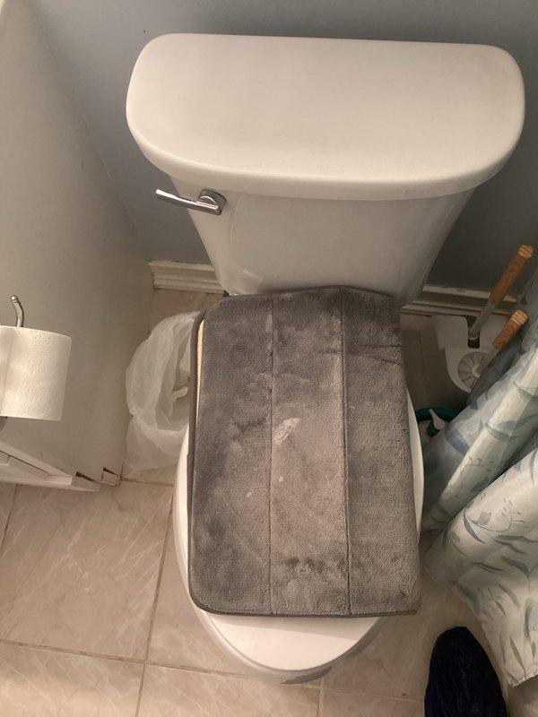 Conducted comprehensive plumbing inspection of bathroom fixtures. Examined shower stall with brushed nickel control valve and flexible hose, noting condition of tile surfaces and grout lines. Inspected toilet functionality, observing standard tank mechanism and checking for proper water flow and potential leakage issues.