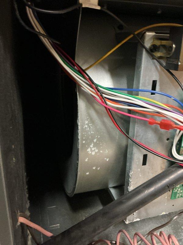 Performed routine maintenance on residential heating system, including inspection of furnace blower motor, electrical connections, and associated ductwork. Examined water heater installation and verified proper operation of control panel/thermostat. All components functioning within normal parameters; no issues requiring remediation were identified.