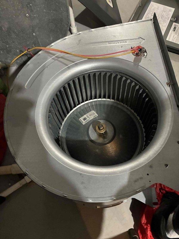 # Service Summary

Returned to complete HVAC system maintenance by replacing UV bulb and performing thorough blower assembly cleaning. Removed and cleaned squirrel cage blower wheel, eliminating accumulated dust and debris from blades and housing. Reinstalled cleaned blower assembly, replaced UV bulb, and verified proper system operation upon completion.