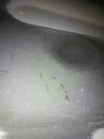 Completed scheduled heating maintenance on system over 10 years old. Inspected blower assembly and found significant dust and debris accumulation on blower wheel blades and housing, which was restricting airflow and reducing system efficiency. Cleaned blower wheel, removed lint buildup from components, and verified proper operation of heating system before departure.