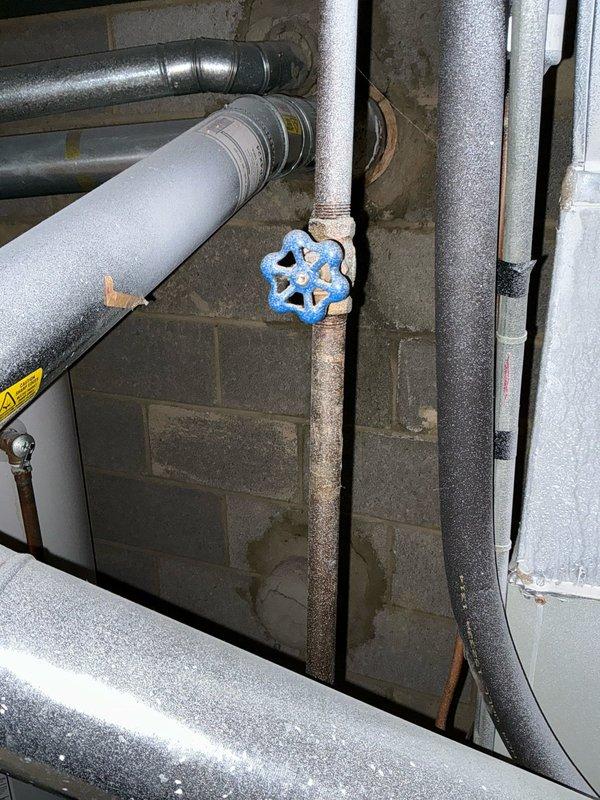 Provided furnace replacement options for a rental property with emphasis on basic, cost-effective system solutions. Assessed existing HVAC equipment in basement mechanical room, documenting aging infrastructure including corroded piping, multiple furnace units, and ductwork configuration to determine appropriate replacement specifications.