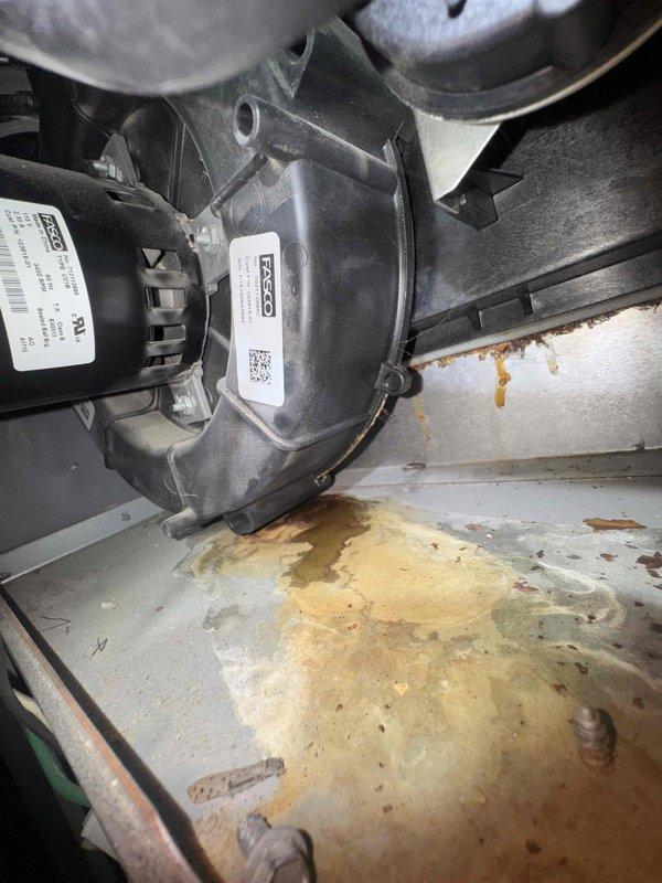 Completed comprehensive heating system tune-up on residential furnace, including inspection of blower motor assembly, FASCO-branded components, and all mechanical systems. Equipment found in operational condition with evidence of minor moisture accumulation in drain pan area; all components tested and verified functioning within manufacturer specifications.