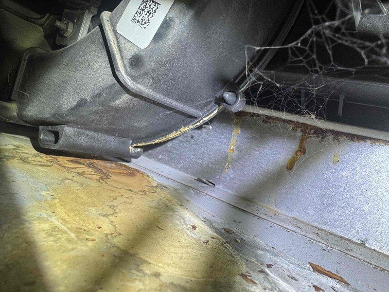 Completed comprehensive heating system tune-up on residential furnace, including inspection of blower motor assembly, FASCO-branded components, and all mechanical systems. Equipment found in operational condition with evidence of minor moisture accumulation in drain pan area; all components tested and verified functioning within manufacturer specifications.