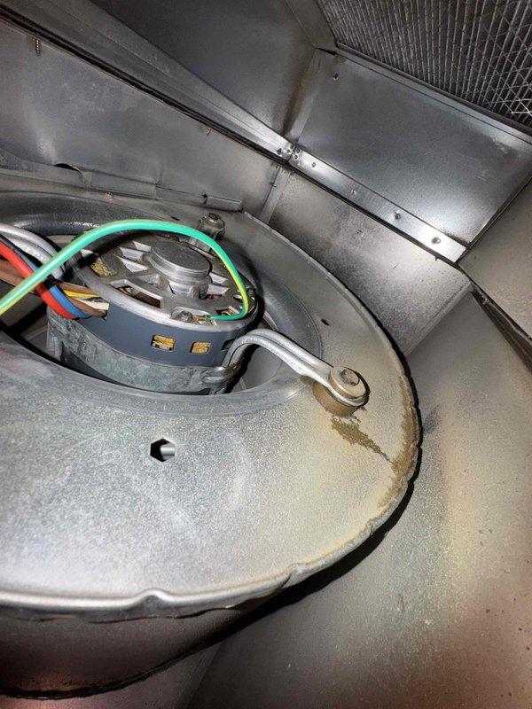 Performed comprehensive heating maintenance on HVAC system, including thorough inspection of blower motor assembly and electrical connections. All wiring, including ground connections and multi-colored conductor leads, were examined and found to be secure with no signs of damage or overheating. Motor housing and surrounding components showed normal operational wear with dust accumulation typical for the unit's service period. Verified proper motor rotation marking and confirmed all mounting brackets and hardware were properly secured. Inspected air handler interior, circular access panel, and ductwork for structural integrity and proper sealing. System components including auxiliary electrical devices and terminal connections were evaluated and determined to be functioning within normal parameters.