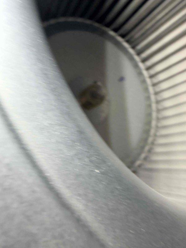 Completed heating tune-up for new homeowner, performing comprehensive system inspection and combustion analysis on natural gas furnace. Verified proper combustion efficiency with oxygen levels at 7.9%, carbon monoxide readings at 32 PPM, and stack temperature at 350°F, all within acceptable parameters. Documented all equipment specifications and serial numbers for maintenance tracking program enrollment.