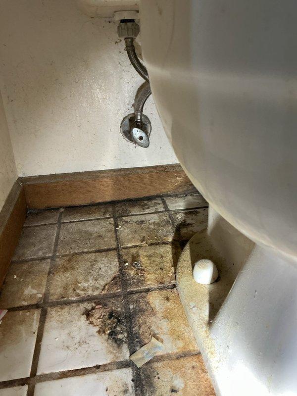 Responded to service call for 1982 Mansfield toilet with deteriorated flush lever gasket that could not be removed by homeowner. Upon inspection, found original toilet tank components showing significant age-related wear, mineral deposits, and water staining throughout interior surfaces. Assessed existing standard-height toilet and discussed replacement options with comfort-height models from Kohler and comparable manufacturers. Documented existing floor conditions showing tile staining around toilet base and evaluated water supply line connection. Provided recommendations for complete toilet replacement to address both the immediate gasket failure and prevent future issues related to aging components.
