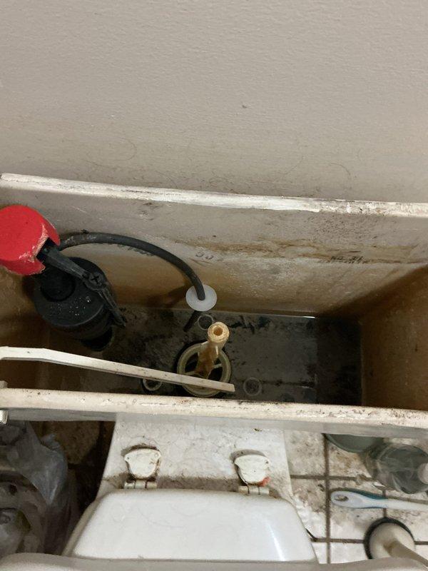 Responded to service call for 1982 Mansfield toilet with deteriorated flush lever gasket that could not be removed by homeowner. Upon inspection, found original toilet tank components showing significant age-related wear, mineral deposits, and water staining throughout interior surfaces. Assessed existing standard-height toilet and discussed replacement options with comfort-height models from Kohler and comparable manufacturers. Documented existing floor conditions showing tile staining around toilet base and evaluated water supply line connection. Provided recommendations for complete toilet replacement to address both the immediate gasket failure and prevent future issues related to aging components.
