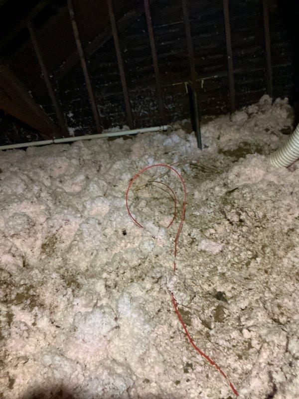 Conducted estimate for residential property with existing steam boiler system to evaluate feasibility of converting to forced air HVAC with air conditioning installation. Inspected basement area containing current boiler equipment and assessed structural framework, available space, and existing utilities for potential ductwork routing. Evaluated attic space and examined insulation conditions, available clearances, and structural capacity for air handler placement and supply/return duct installation. No existing forced air infrastructure present, requiring complete system design and installation from ground up.