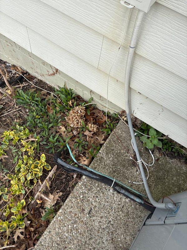 Conducted on-site evaluation for complete HVAC system replacement at residential property. Homeowner requested relocation of existing outdoor condensing unit away from backdoor area to side of house for improved access and aesthetics. Assessed current forced air system configuration including newer Carrier furnace and older air conditioning equipment. Discussed multiple equipment options for 2-ton AC system replacement with upgraded Ecobee smart thermostat integration. Evaluated existing copper refrigerant line set condition, electrical connections, and condensate drainage routing. Documented current equipment placement adjacent to rear entry and landscaping, noting confined installation space and proximity to foundation plantings. Photographed existing line set penetrations through exterior wall and current equipment positioning for relocation planning. Reviewed ductwork accessibility and compatibility with proposed equipment specifications to ensure proper system matching with existi
