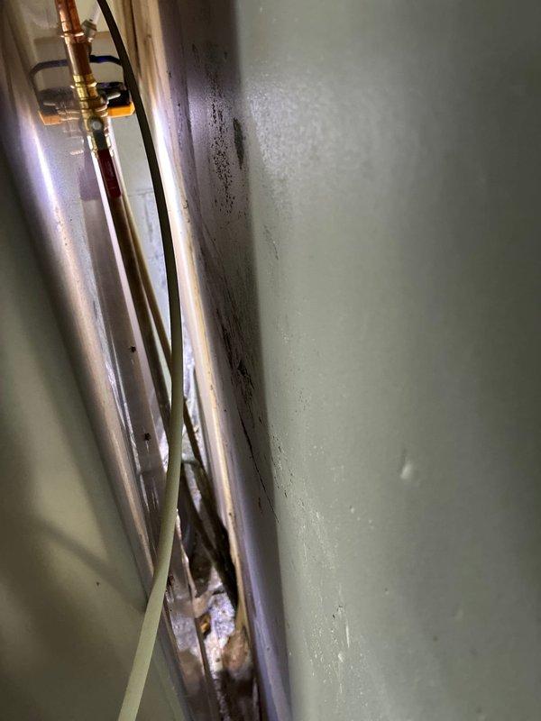 Conducted on-site evaluation for complete HVAC system replacement at residential property. Homeowner requested relocation of existing outdoor condensing unit away from backdoor area to side of house for improved access and aesthetics. Assessed current forced air system configuration including newer Carrier furnace and older air conditioning equipment. Discussed multiple equipment options for 2-ton AC system replacement with upgraded Ecobee smart thermostat integration. Evaluated existing copper refrigerant line set condition, electrical connections, and condensate drainage routing. Documented current equipment placement adjacent to rear entry and landscaping, noting confined installation space and proximity to foundation plantings. Photographed existing line set penetrations through exterior wall and current equipment positioning for relocation planning. Reviewed ductwork accessibility and compatibility with proposed equipment specifications to ensure proper system matching with existi