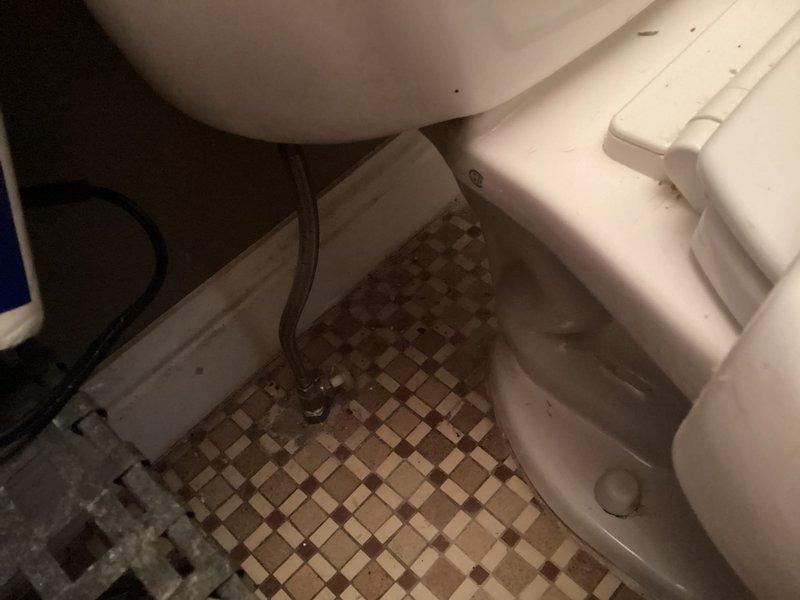 Responded to service call for toilet not filling with water. Upon inspection, found issue with fill valve assembly in tank. Examined internal tank components including fill valve with blue cap, flush valve, and flapper mechanism. Water level in tank was significantly low, preventing proper toilet operation. Adjusted and tested fill valve to restore proper water flow into tank. Verified all internal components were functioning correctly and water reached appropriate fill line. Completed complimentary plumbing inspection of bathroom fixtures as requested.