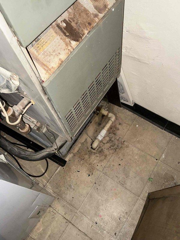 Conducted on-site HVAC system evaluation and provided replacement options for existing air conditioning equipment. Assessed current unit condition in mechanical room, noting aging infrastructure, water damage indicators on surrounding surfaces, and equipment requiring upgrade. Documented existing system configuration including ductwork connections, electrical conduits, and drainage piping for replacement planning purposes.