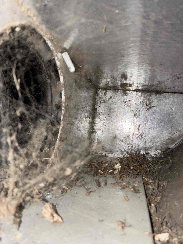 Responded to customer concern regarding possible carbon monoxide intrusion through furnace intake system. Performed comprehensive inspection of furnace intake and exhaust venting components. Upon examination, discovered significant corrosion and deterioration on exhaust vent piping and mounting hardware. Identified rust damage on curved vent connector components and observed accumulated debris around intake opening. Found compromised metal ductwork with visible wear, discoloration, and aging throughout the venting system. Documented deteriorated conditions that could potentially allow exhaust gases to enter the intake pathway. Completed heating maintenance inspection and photographed affected areas showing corroded components and compromised venting infrastructure requiring attention to ensure safe operation and proper combustion air quality.