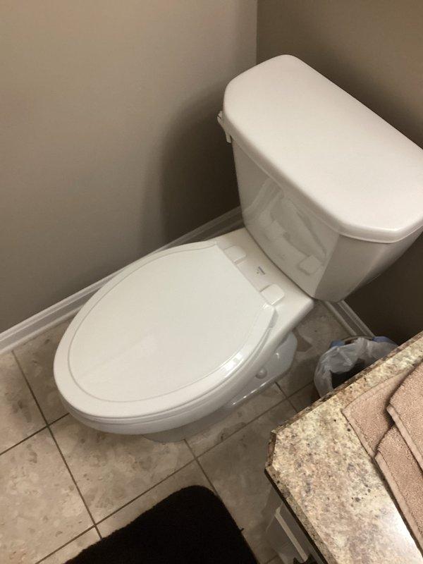 Performed routine maintenance flush on Rheem Performance Plus tanked water heater to remove sediment buildup and ensure optimal operating efficiency. Additionally inspected toilet at customer's request and confirmed proper operation with no issues identified.