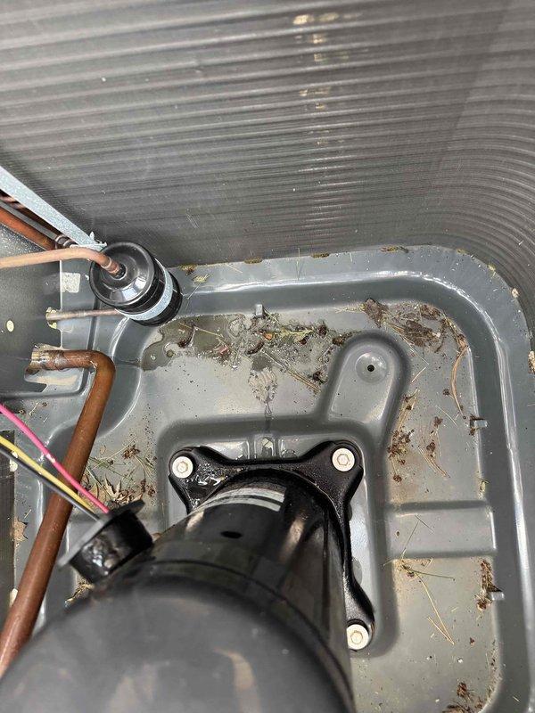 Responded to customer concern regarding potential hail damage to air conditioning system. Performed comprehensive system inspection including electrical diagnostics with multimeter testing of capacitor and contactor components, which showed normal operating values. Inspected evaporator coil and condensate drain pan, finding significant accumulation of organic debris including leaves and twigs that required documentation. All electrical connections and refrigerant lines were visually inspected and found intact with no evidence of storm-related damage to exterior unit or internal components.