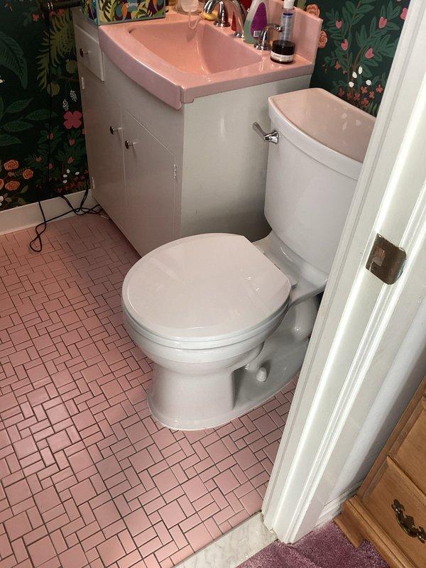 Installed customer-supplied toilet in residential bathroom featuring pink tile flooring and botanical wallpaper. Removed existing fixture, set new two-piece white toilet with chrome flush handle, ensuring proper seal and connection to existing plumbing. Verified proper operation and confirmed no leaks upon completion.