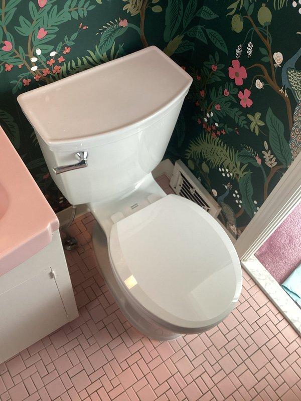 Installed customer-supplied toilet in residential bathroom featuring pink tile flooring and botanical wallpaper. Removed existing fixture, set new two-piece white toilet with chrome flush handle, ensuring proper seal and connection to existing plumbing. Verified proper operation and confirmed no leaks upon completion.