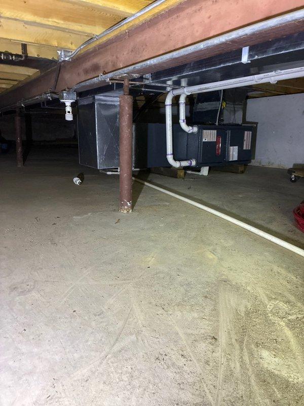 Conducted on-site evaluation of existing basement HVAC system and provided furnace replacement options to customer. Documented current equipment configuration, measured available clearances for new installation, and assessed existing ductwork and utility connections to determine compatibility with replacement unit specifications.