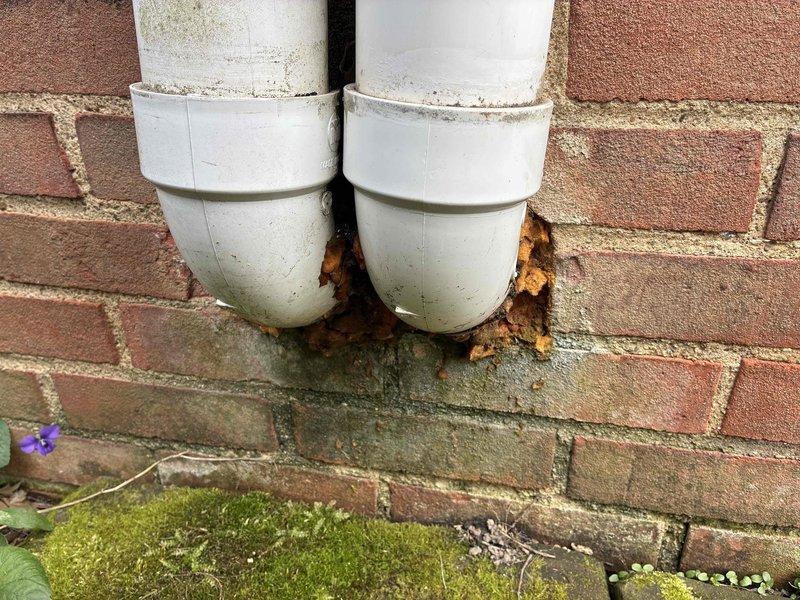 Performed system start-up on newly installed air conditioning unit. Verified proper operation of condensate drainage system with PVC discharge lines and electrical conduit installation along exterior foundation. All components tested and confirmed operational with system running within manufacturer specifications.