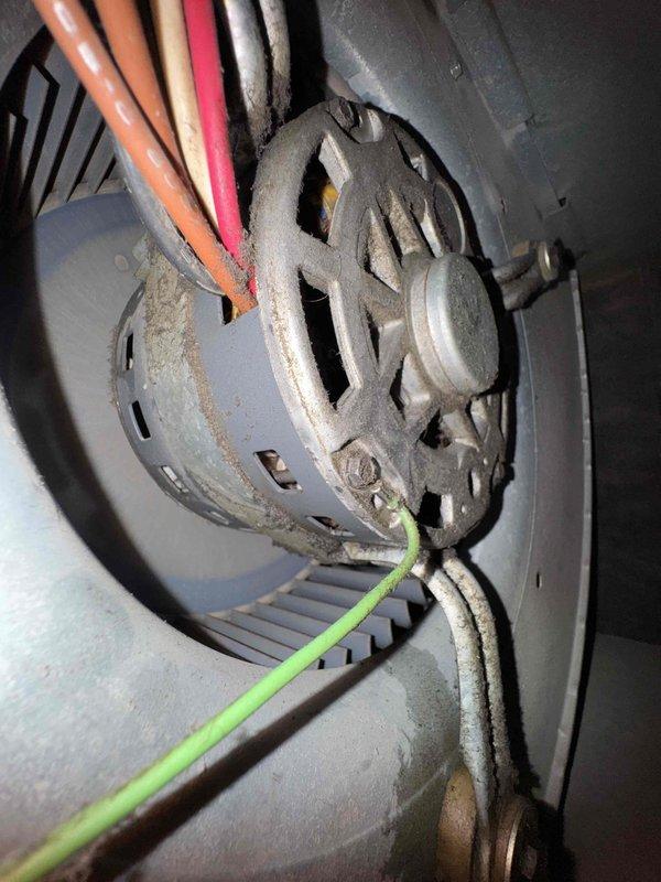 Completed comprehensive cooling system tune-up on residential HVAC unit, including inspection of electrical components, capacitor testing, and overall system performance evaluation. Unit showed normal wear with dust accumulation on electrical connections and enclosure; all components functioning within specifications. Customer requested separate quote for new humidifier installation.