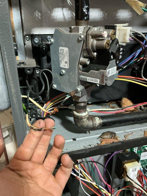 Responded to no heat call where furnace was running but producing no warm air. Upon inspection, identified issue with gas valve wiring connections in junction box. Verified proper electrical connections to gas valve assembly, checked all wire terminations, and confirmed gas valve motor operation. Tested system operation and restored heating function successfully.