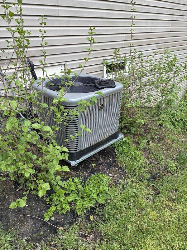 Completed comprehensive cooling system tune-up on outdoor condensing unit. Performed standard maintenance procedures including electrical diagnostics with measured voltage reading of 88.01V, system performance verification, and operational testing. Noted excessive vegetation growth surrounding unit requiring customer attention for proper airflow clearance and future maintenance access.