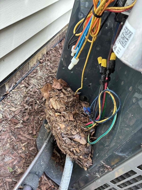 Completed mid-morning cooling system tune-up and maintenance inspection. Removed significant accumulation of leaves, mulch, and organic debris from outdoor condenser unit that had built up around electrical connections and equipment housing. Replaced dirty air filter with clean filter to restore proper airflow and system efficiency. Verified electrical connections and wiring integrity at outdoor unit following debris removal.