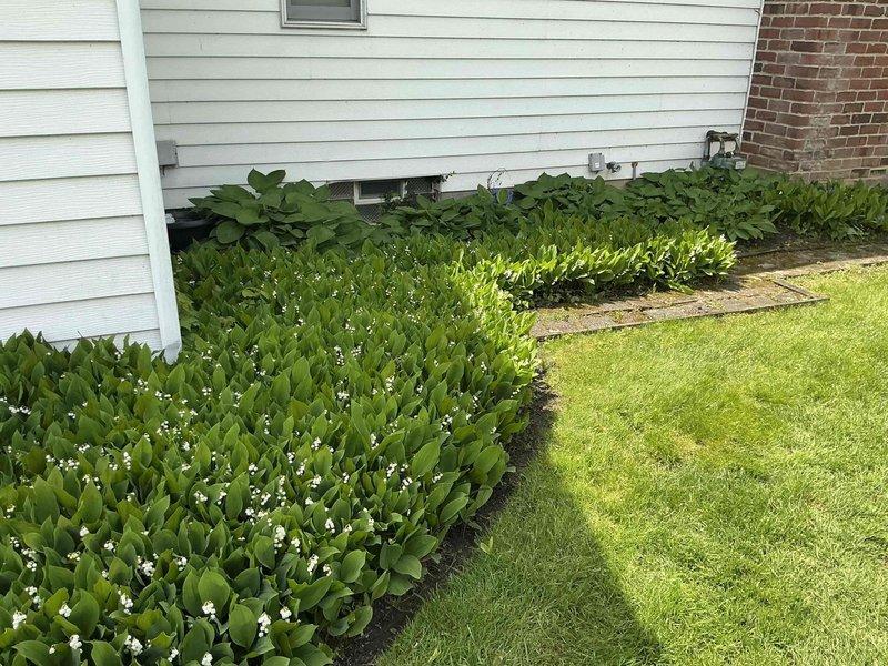 Conducted on-site evaluation of existing residential air conditioning system and provided homeowner with multiple replacement equipment options. Assessed current outdoor condensing unit installation, surrounding clearances, and existing refrigerant line configuration to determine compatibility requirements for new system specifications.