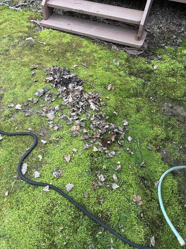 Completed comprehensive HVAC cooling system maintenance on outdoor condensing unit. Performed insulation resistance testing on compressor using megohmmeter to verify electrical integrity and proper motor winding insulation, with readings indicating acceptable operational parameters. Noted significant accumulation of dirt, debris, spider webs, and organic matter on compressor housing and surrounding components requiring attention for optimal system performance and airflow efficiency.