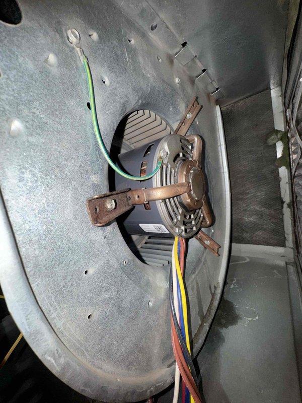 Performed comprehensive cooling system maintenance on HVAC unit. Inspected and documented blower motor assembly and squirrel cage fan wheel, noting dust and debris accumulation on blades and motor housing. Verified proper motor mounting, electrical connections including grounding wire, and multi-conductor wiring harness integrity. Blower assembly components found to be mechanically sound with normal operational wear patterns present.