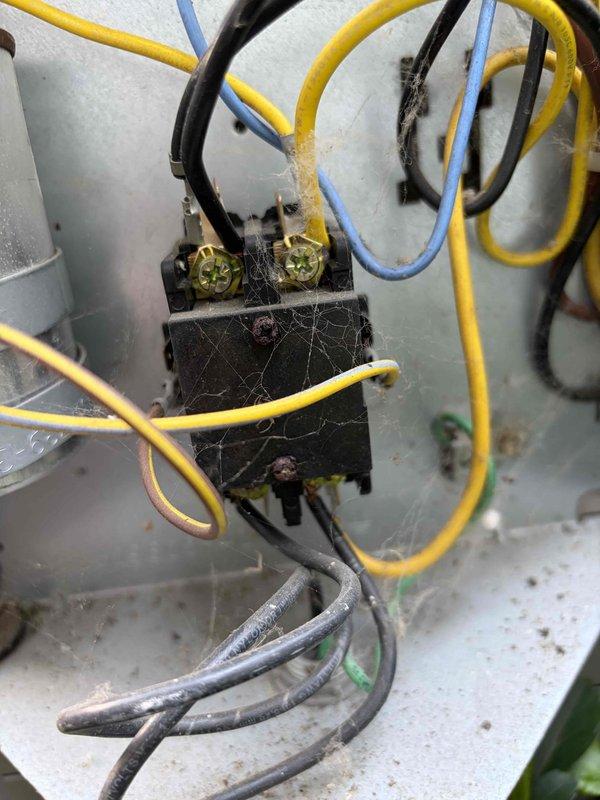 Completed comprehensive furnace maintenance on a 10-year-old heating system that was operating properly at time of service. Performed full tune-up procedures including inspection of electrical connections, contactor assembly, and control components. Cleaned accumulated dust, debris, and cobwebs from electrical connection points and contactor to ensure optimal performance and prevent potential safety issues. Verified all wire connections were secure and properly terminated at terminals. Inspected outdoor condenser unit and confirmed proper clearance around equipment, noting healthy landscaping growth around perimeter that will require monitoring to maintain adequate airflow. All system components tested and operating within normal parameters upon completion of maintenance service.