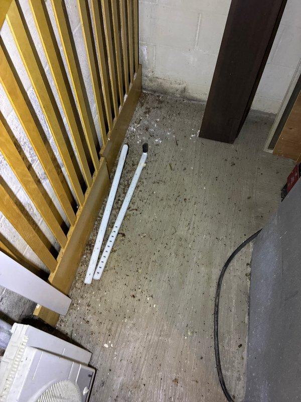 Conducted on-site assessment of existing HVAC system in residential basement mechanical room to provide equipment replacement options. Evaluated current furnace unit, ductwork configuration, and overall system layout. Documented existing equipment conditions and spatial measurements to determine appropriate replacement specifications and installation requirements.