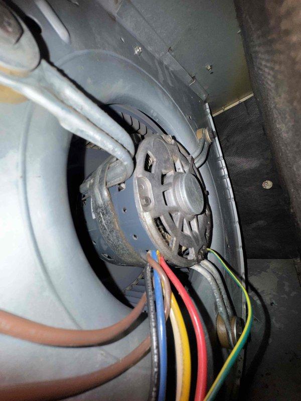 Responded to no heat or cooling complaint on system following recent fuse and contactor replacement. Upon inspection, diagnosed blower motor assembly and verified all electrical connections to motor including power and control wiring. Inspected HVAC unit components including blower wheel housing, motor mounting, and associated ductwork in confined mechanical space. System restored to proper operation with heating and cooling functionality confirmed.