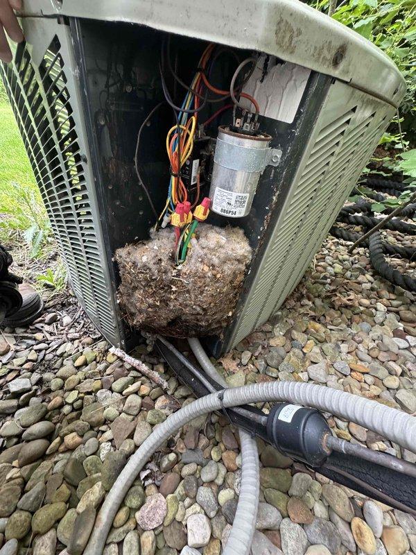 Responded to emergency no-cooling call on 10-15 year old central air conditioning system. Upon arrival, confirmed outdoor condenser fan motor was operational but unit was not producing cool air. Removed access panel to inspect electrical components and found capacitor with visible signs of failure. Interior of condenser unit showed significant accumulation of debris, dirt, and organic matter around capacitor and internal components, indicating extended period without maintenance. 

Tested capacitor with multimeter and confirmed readings were outside manufacturer specifications, preventing compressor from starting. Disconnected power and safely discharged failed capacitor. Removed defective unit and installed new replacement capacitor with proper microfarad rating for system. Reconnected all electrical connections using wire nuts and verified secure terminations on all colored wire leads.

Cleaned debris accumulation from interior compartment to prevent future airflow restriction and co