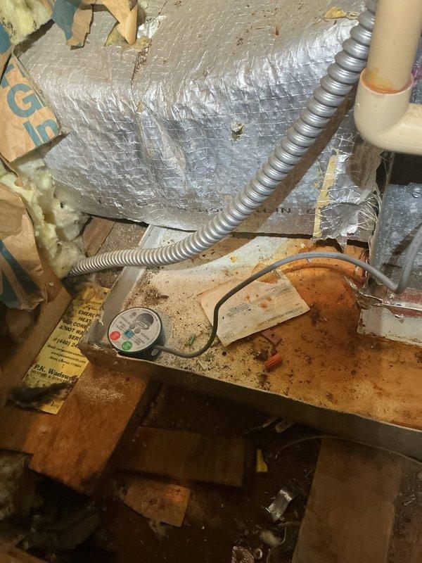 Responded to emergency no cooling call for ductless mini-split system approximately 6-9 years old. Upon arrival, customer reported unit blowing weak warm air with no cooling capacity. Performed diagnostic inspection of indoor air handler located in basement utility area and outdoor condensing unit. Inspected electrical connections at junction box, refrigerant line sets, condensate drainage system, and overall system operation. Documented existing equipment condition including rust staining on air handler platform and general installation environment. Assessed system components including insulated refrigerant lines, flexible conduit connections, and PVC condensate drain line. Photographed equipment for service records showing air handler installation and associated mechanical connections in crawl space area. Identified system deficiencies preventing proper cooling operation and provided customer with findings and repair recommendations to restore full cooling functionality.