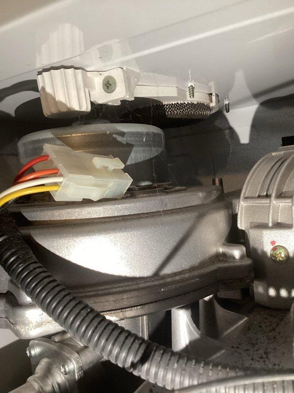 Completed routine maintenance flush on tankless water heater system. Performed descaling procedure, inspected internal components including heat exchanger assembly and mounting hardware, verified proper operation of electrical connections and water flow pathways, and documented equipment condition with photographic records.