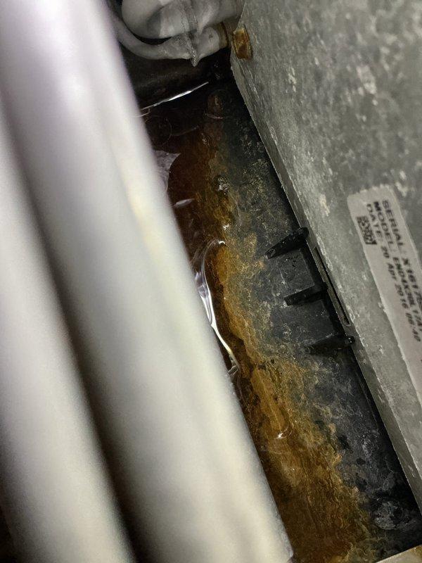 Responded to customer concern regarding chemical odor in basement following recent coil cleaning service. Performed thorough inspection of air conditioning system and evaporator coil area. Upon examination, found significant corrosion and rust buildup in condensate drain pan, indicating long-term moisture accumulation and potential drainage issues. Inspected evaporator coil and confirmed chemical cleaning residue present on coil surfaces and surrounding components. Verified refrigerant lines and ductwork connections for proper installation. Advised customer that chemical smell is temporary and should dissipate as system continues to run and residual cleaning solution evaporates from coil surfaces. Recommended monitoring odor over next 24-48 hours of operation. Noted condensate pan corrosion requires attention to prevent future water damage and ensure proper drainage function.