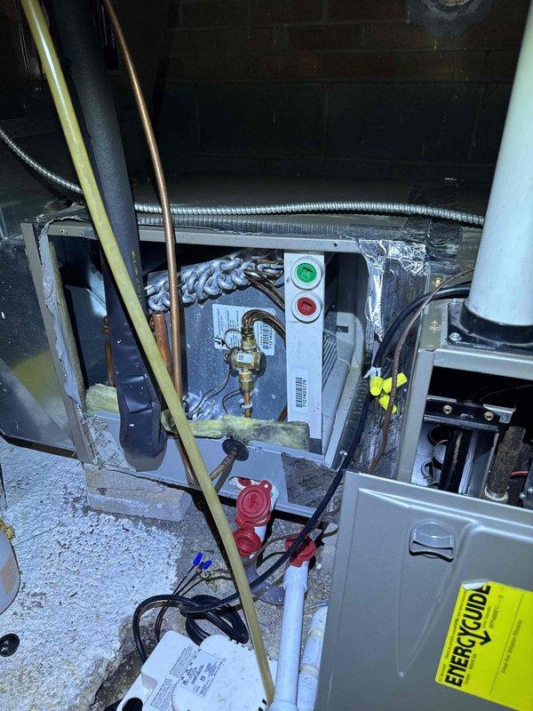 Performed comprehensive maintenance on HVAC system including thorough cleaning of blower wheel to restore proper airflow and system efficiency. Installed drain tabs in condensate drain line to prevent biological growth and maintain clear drainage. Replaced burned-out indicator bulb in control panel to restore proper system status visibility.