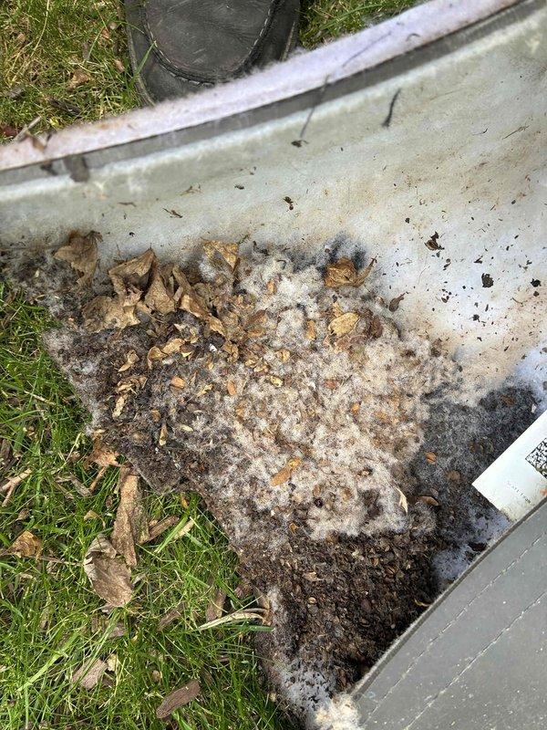 Performed complete system repair and maintenance service on residential HVAC unit. Replaced failed capacitor and contactor to restore proper compressor and fan motor operation. Conducted thorough cleaning of heavily contaminated evaporator coil, which exhibited extensive dirt accumulation, mold growth, and moisture damage affecting airflow and heat transfer efficiency. Replaced burned-out indicator bulb. Addressed significant mold and debris buildup observed in condensate drainage system. System tested and confirmed operational upon completion of repairs.