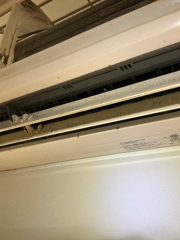 Responded to no cooling complaint on wall-mounted AC unit. Upon inspection, found evaporator coils heavily contaminated with dust, dirt, and mold buildup causing restricted airflow and reduced cooling capacity. Performed thorough cleaning of evaporator coils, removed debris from drainage pan, and cleaned internal components to restore proper system operation and airflow.
