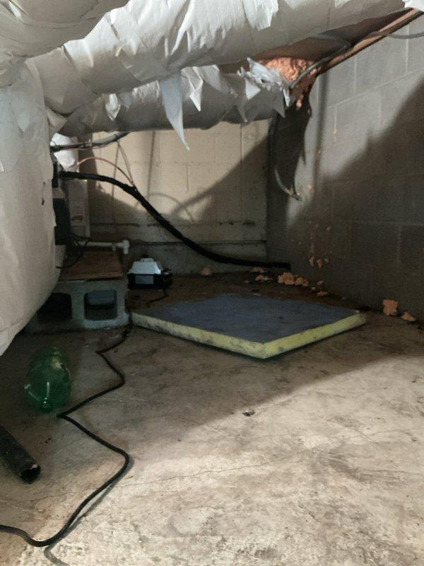 Responded to service call for reported breaker and outlet issues. Upon arrival, conducted comprehensive electrical inspection of the property. During assessment, discovered significant environmental concerns in the basement utility area, including severe ice formation on overhead infrastructure, ductwork, and piping systems, indicating critical temperature control and moisture intrusion problems. These conditions posed potential safety hazards to electrical systems and could compromise circuit integrity.

Documented all findings with photographic evidence showing ice accumulation on insulated ductwork, copper piping, and surrounding areas. Noted debris accumulation and general maintenance issues in basement and crawl space areas that could impact electrical component performance. Inspected electrical panels, breakers, and outlet circuits as originally requested. Recommended immediate attention to environmental controls and insulation systems to prevent electrical system damage and ensu
