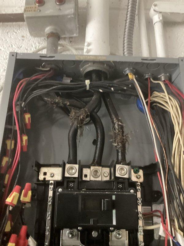 Performed comprehensive electrical inspection of commercial control system and main distribution panel. Documented contactor panel installation featuring centralized relay device with multi-phase wiring connections, yellow crimp terminals, and proper cable management. Verified integrity of electrical connections including red, black, white, and tan conductors routed through conduit and flexible metal whip. Inspected main electrical panel containing dual columns of circuit breakers with mixed individual and bundled conductor wiring, confirming proper wire nut connections and organized circuit arrangements. All components photographed for service records.
