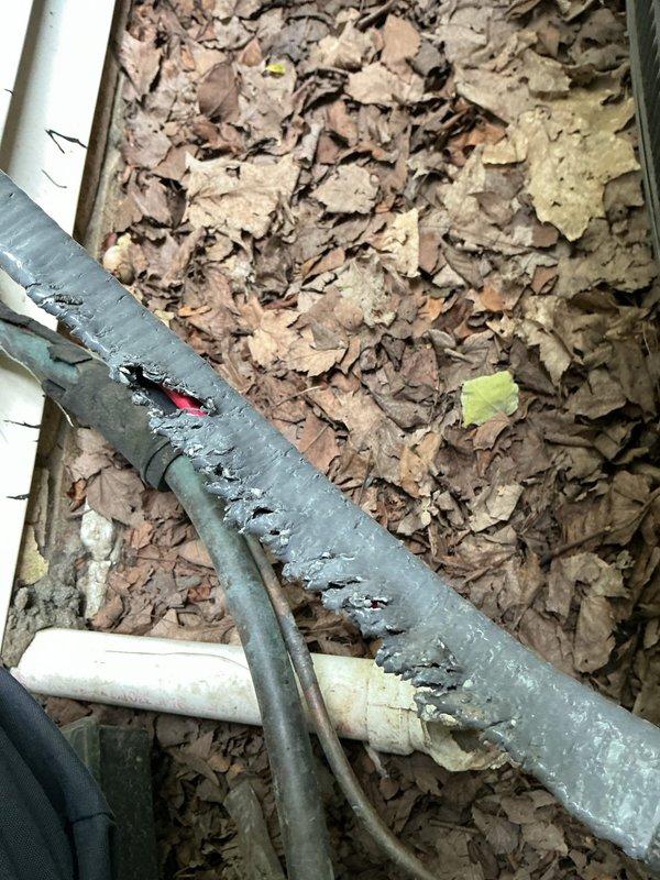 Responded to no cooling complaint on residential air conditioning system. Upon arrival, performed visual inspection of exterior and interior components. Discovered significant debris accumulation including leaves and organic matter blocking airflow around refrigerant line set and within accessible areas near equipment. Refrigerant lines showed deteriorated insulation with exposed sections requiring attention. Cleared debris from around penetration points and accessible areas to restore proper airflow. System components showed signs of inadequate maintenance and environmental exposure contributing to reduced performance.